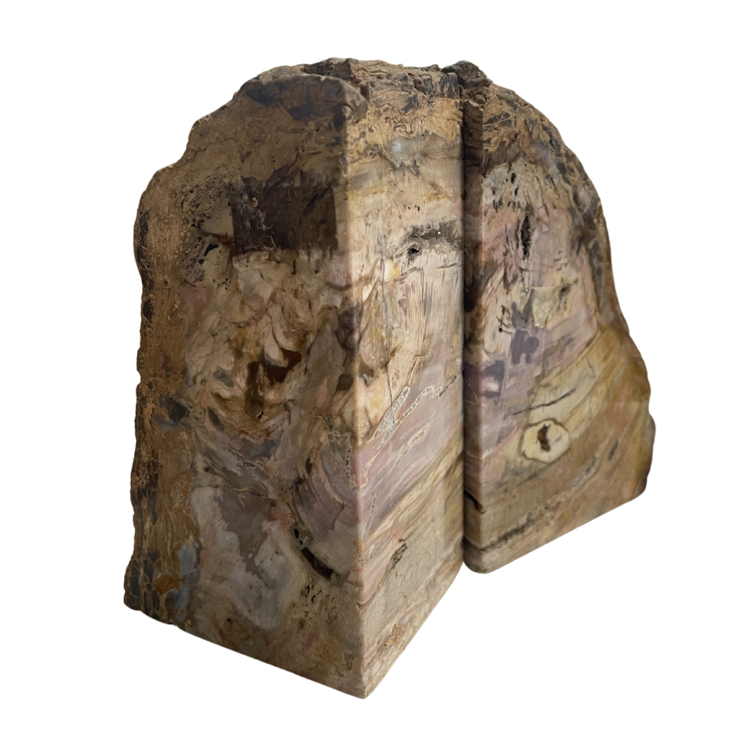 Petrified Wood Bookends