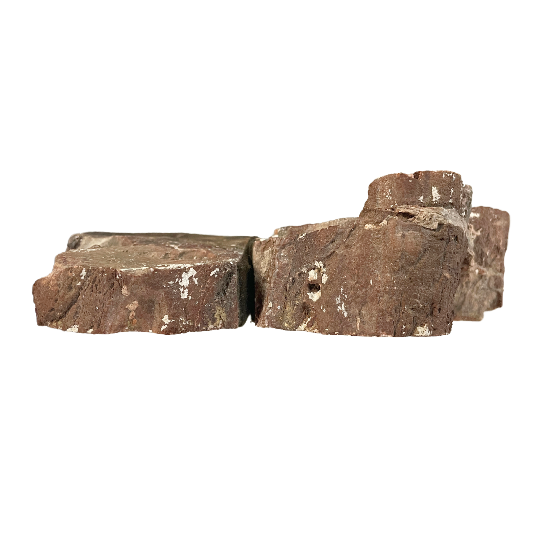 Petrified Wood Bookends