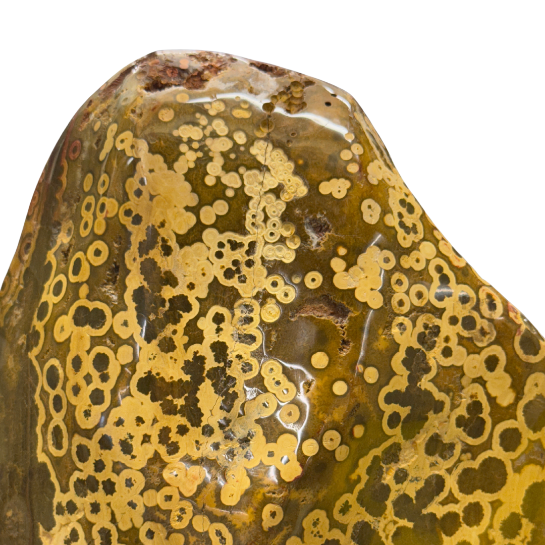 Ocean Jasper Freeform