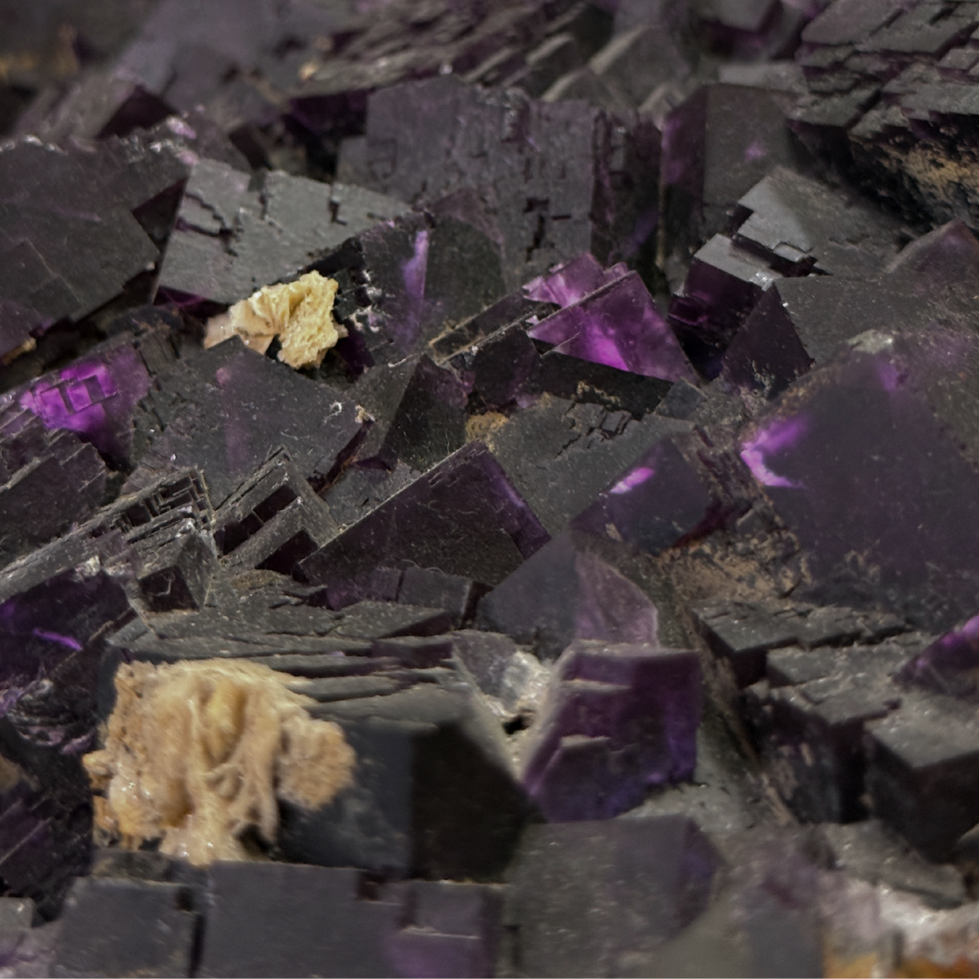 Purple Fluorite