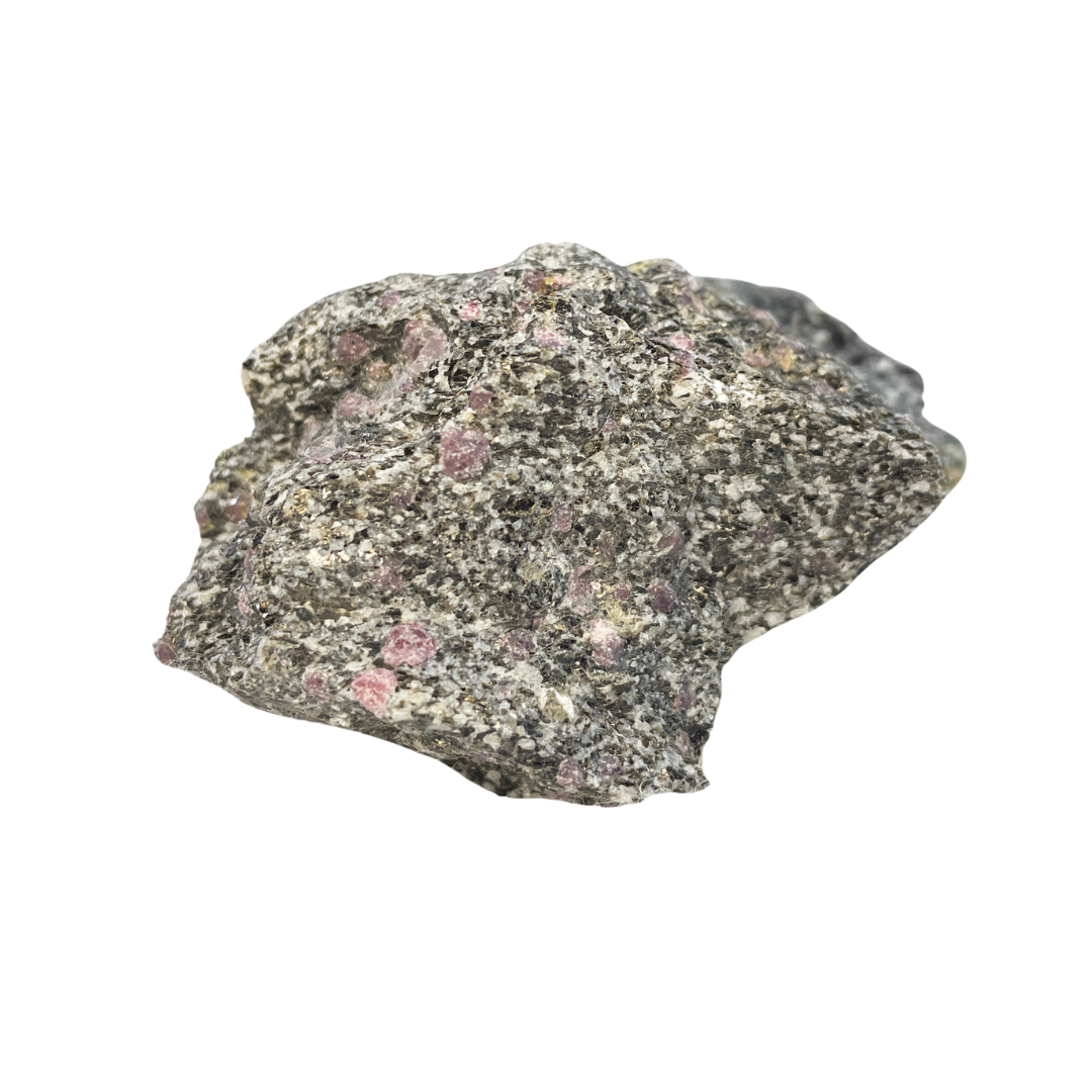 Garnet in Gneiss Biotite