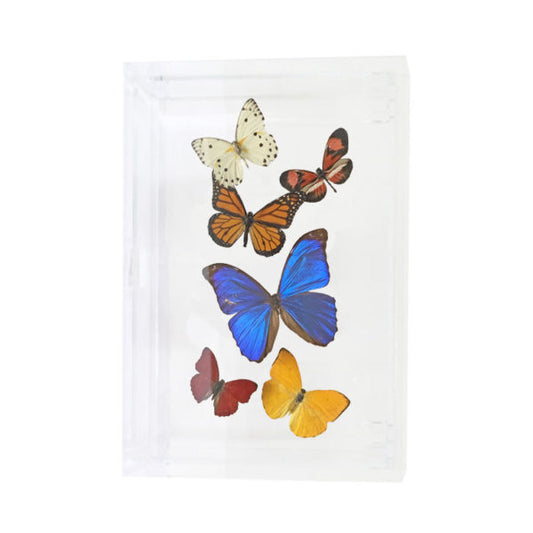 Assorted Butterflies
