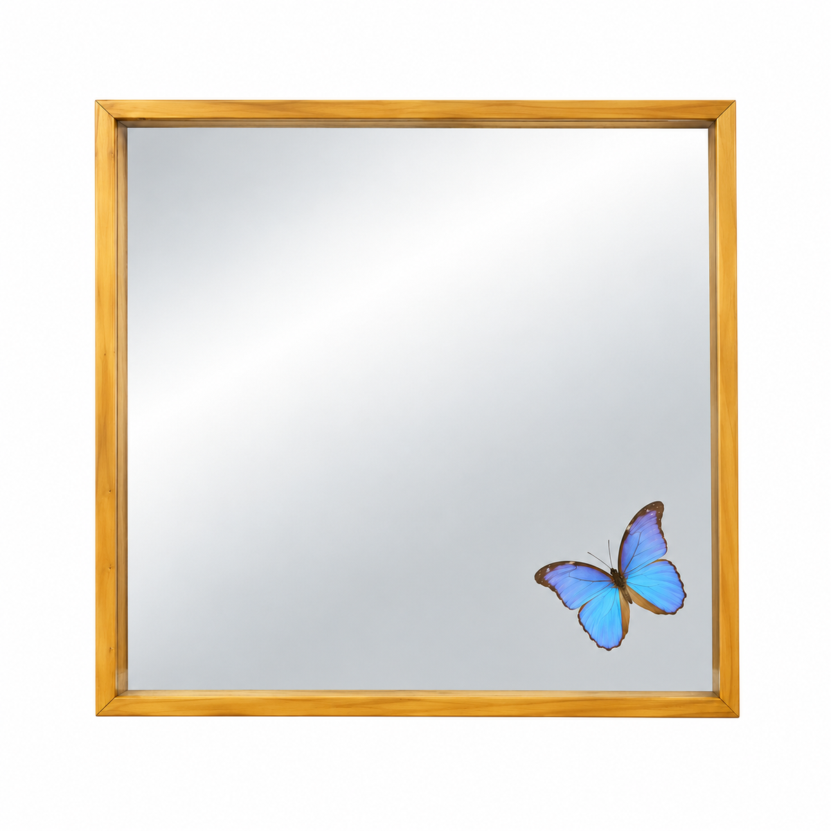 Blue Morpho Mirror