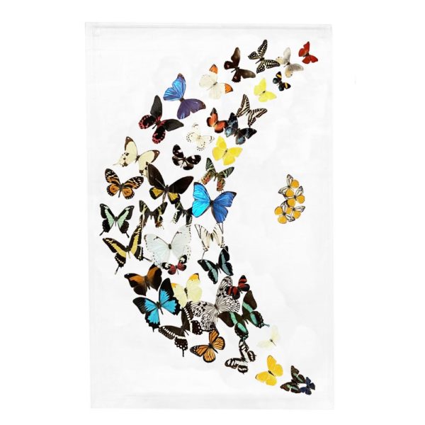 Assorted Butterflies