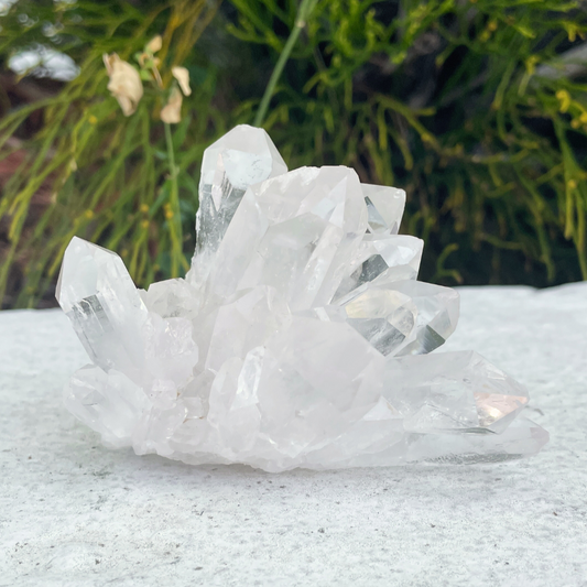 Clear Quartz Cluster