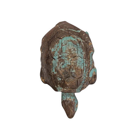 Carved Turquoise Turtle