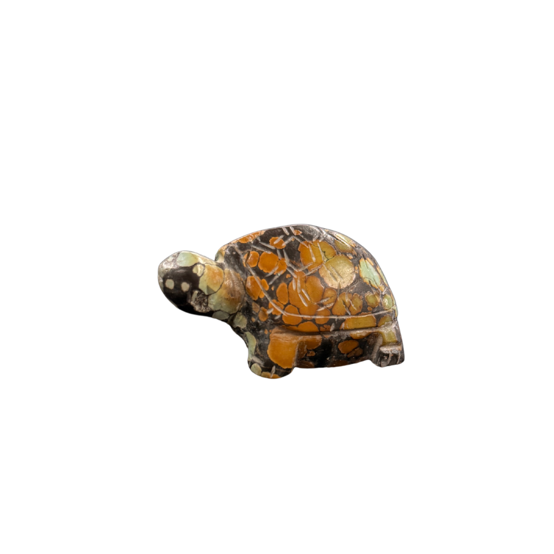 Turquoise Turtle
