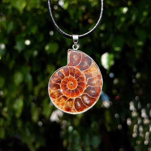 Ammonite Pendant