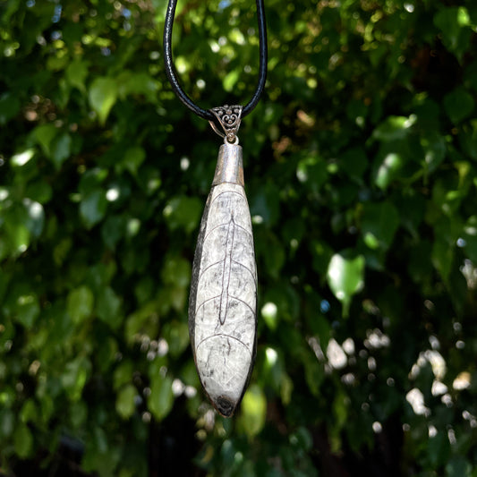 Orthoceras Pendant