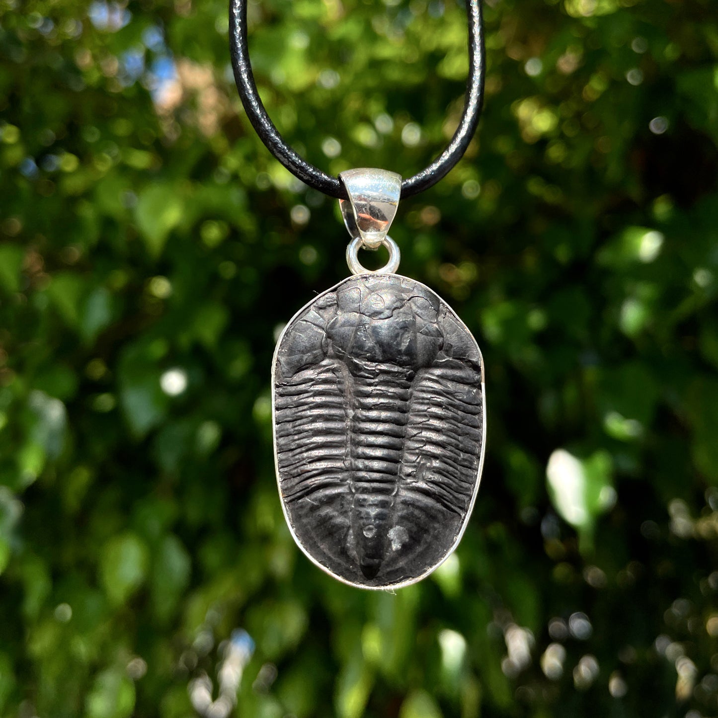 Trilobite Pendant