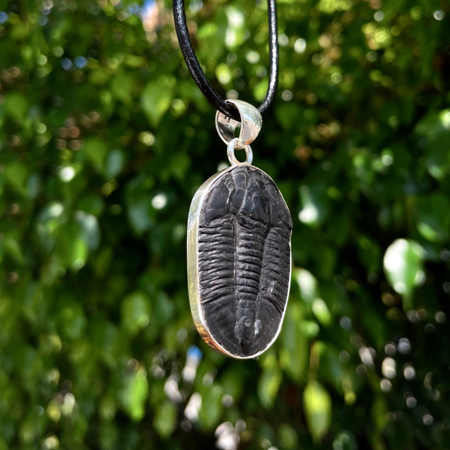 Trilobite Pendant