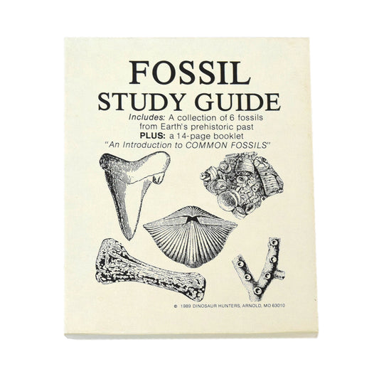 Fossil Study Guide