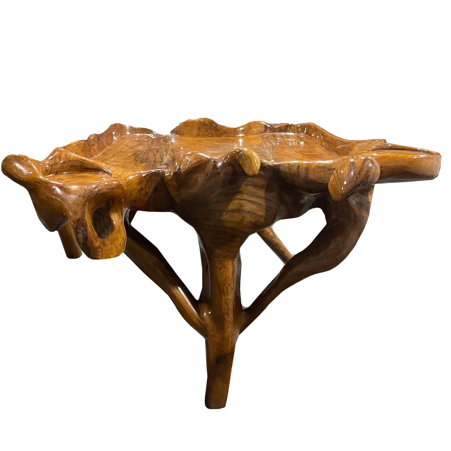 Wooden Root Console Table