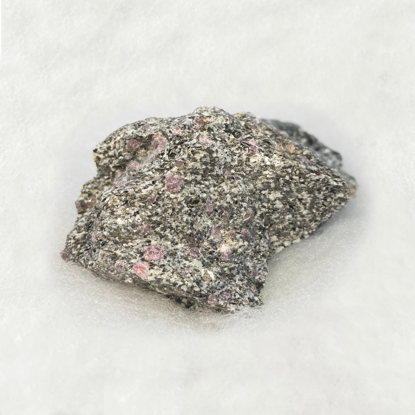 Garnet in Gneiss Biotite