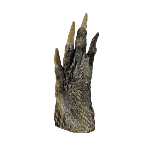 Alligator Foot