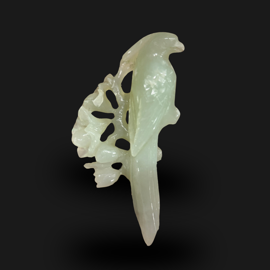 Jade Parrot Bird