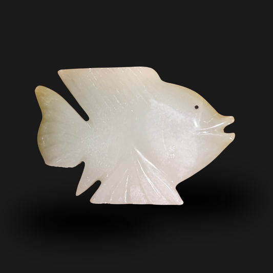 Jade Angelfish