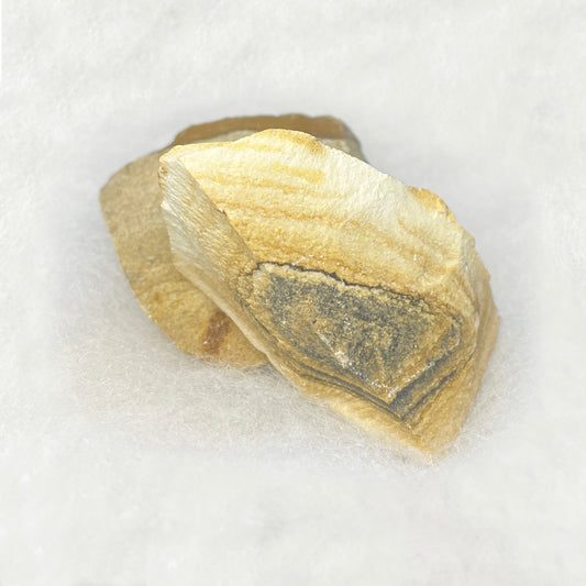 Picture Jasper