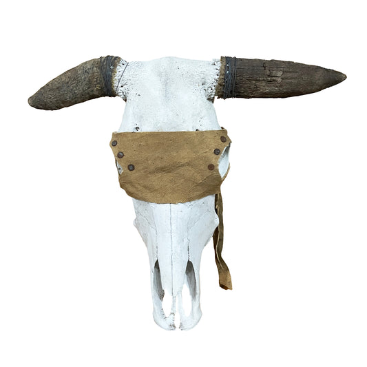 Steer Skull