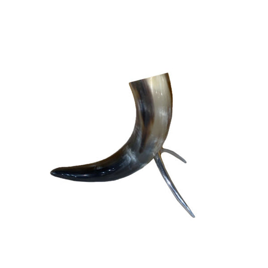 Polished Cow Horn