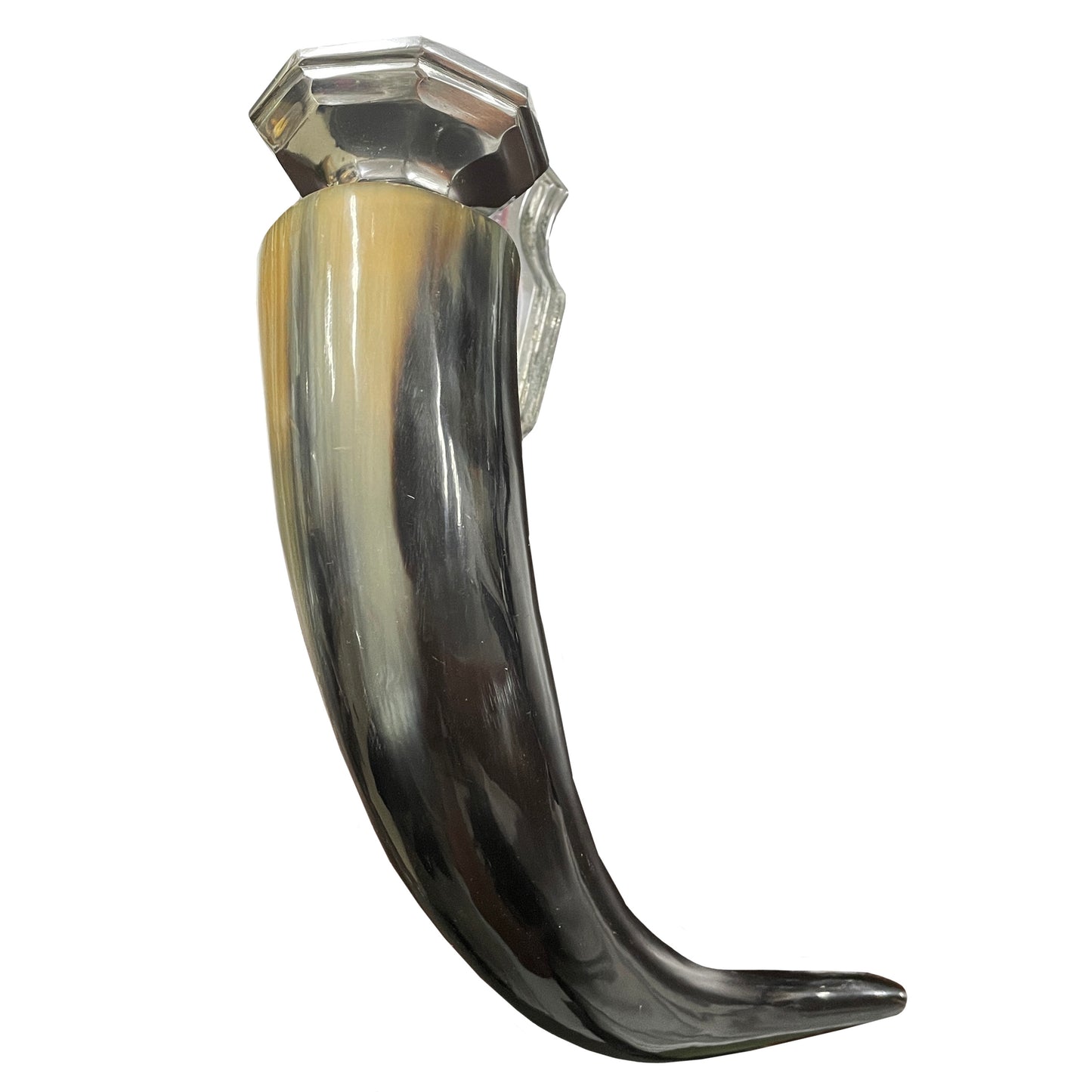 Cow Horn Candle Sconce