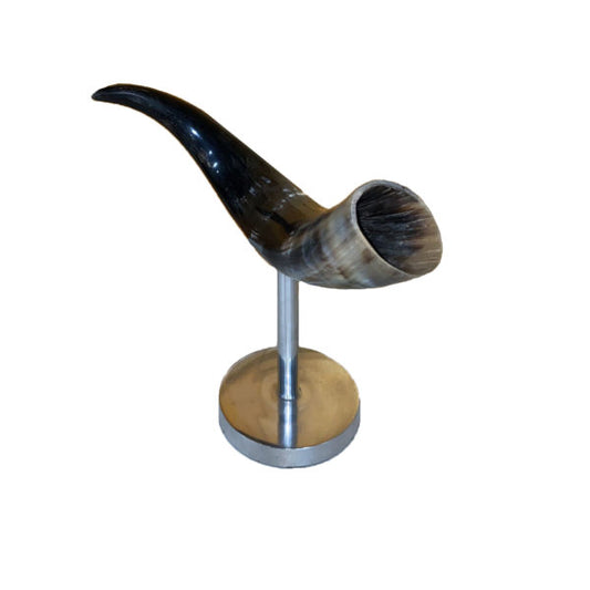 Polished Cow Horn