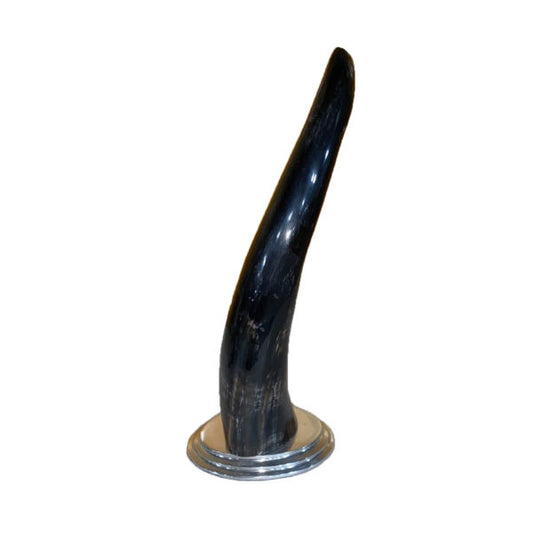 Polished Cow Horn