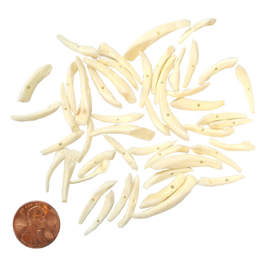 Goat Teeth