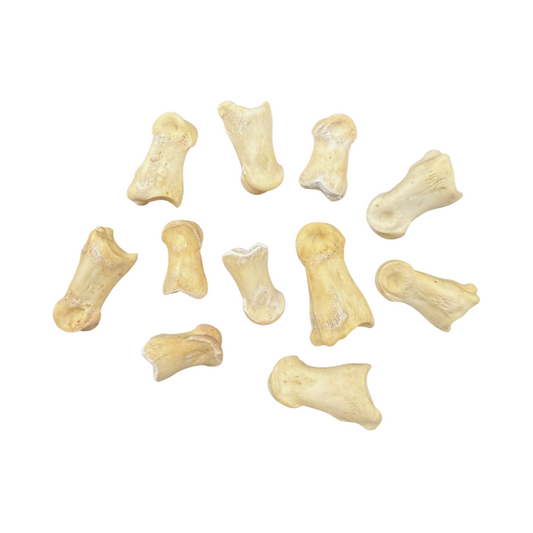 Deer Knuckle Bone