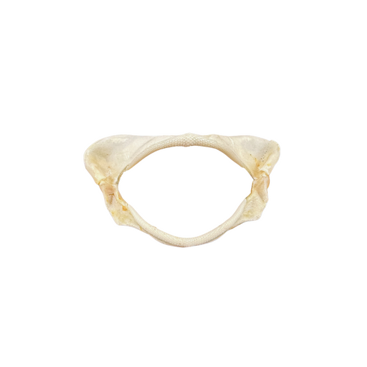 Shark Jaw
