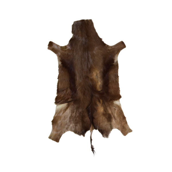 Bushbuck Skin Rug