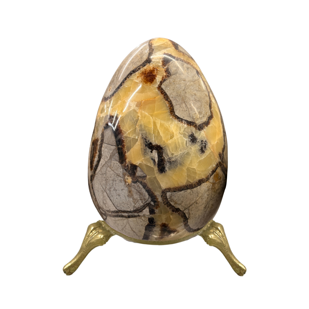 Septarian Egg