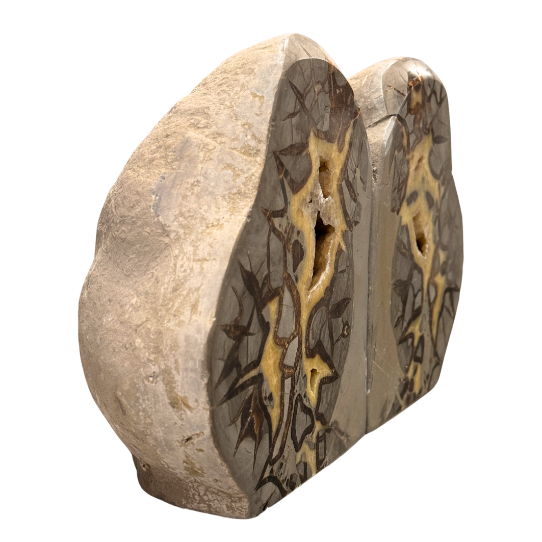 Septarian Bookend
