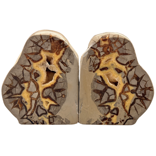 Septarian Bookend