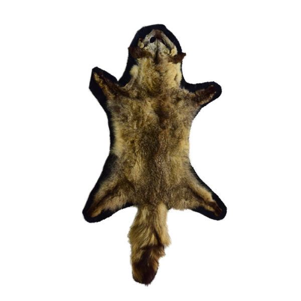 Bat Eared Fox Rug