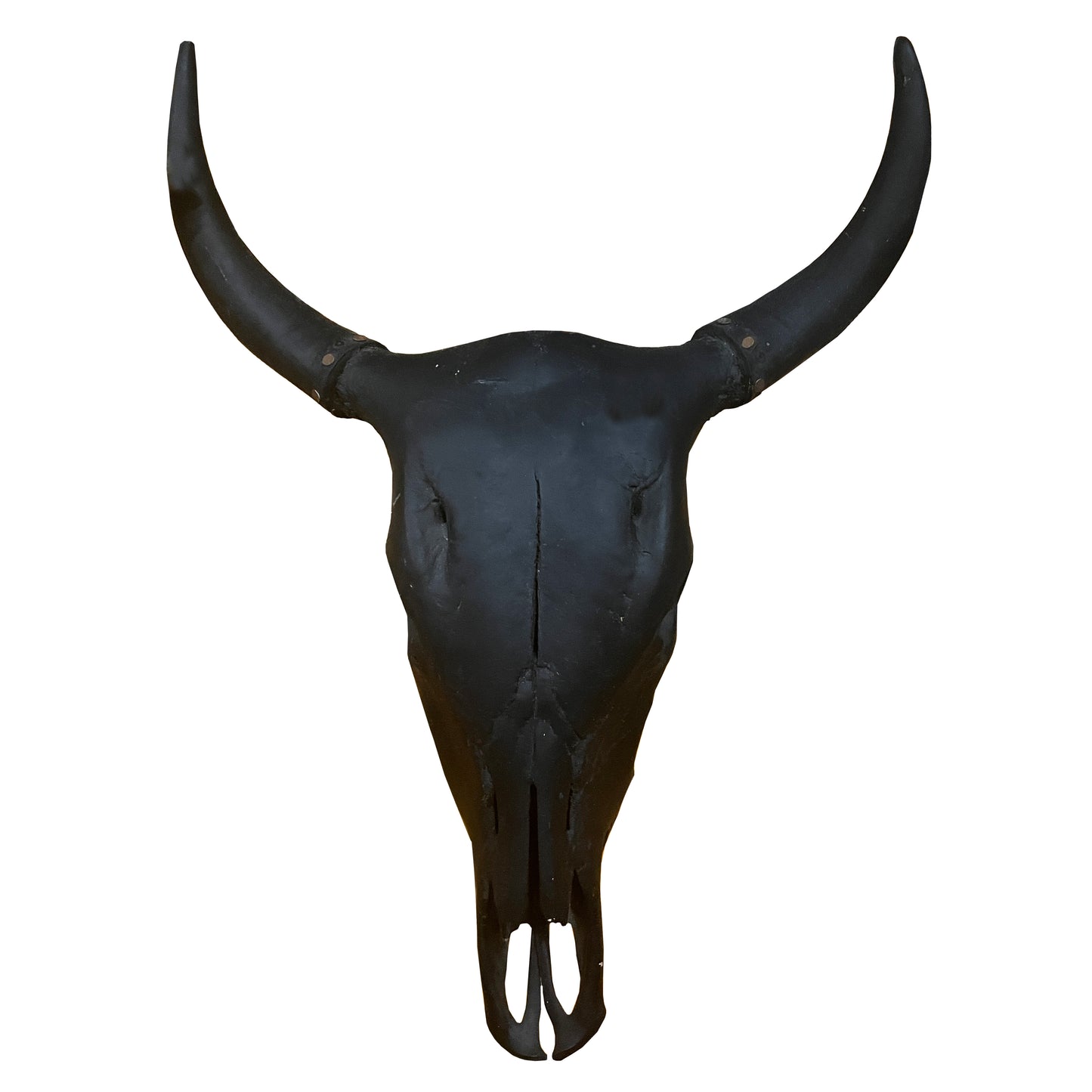 Black Steer