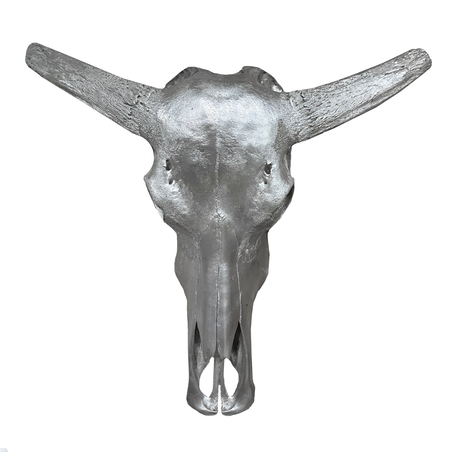 Silver steer