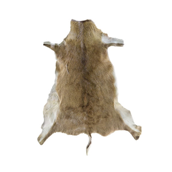 Duiker Skin Rug