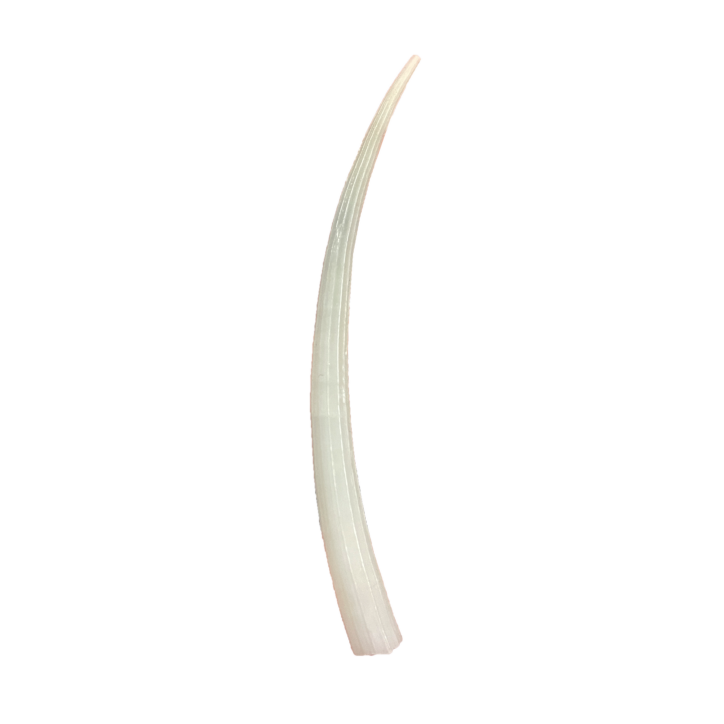 Sea Tusk