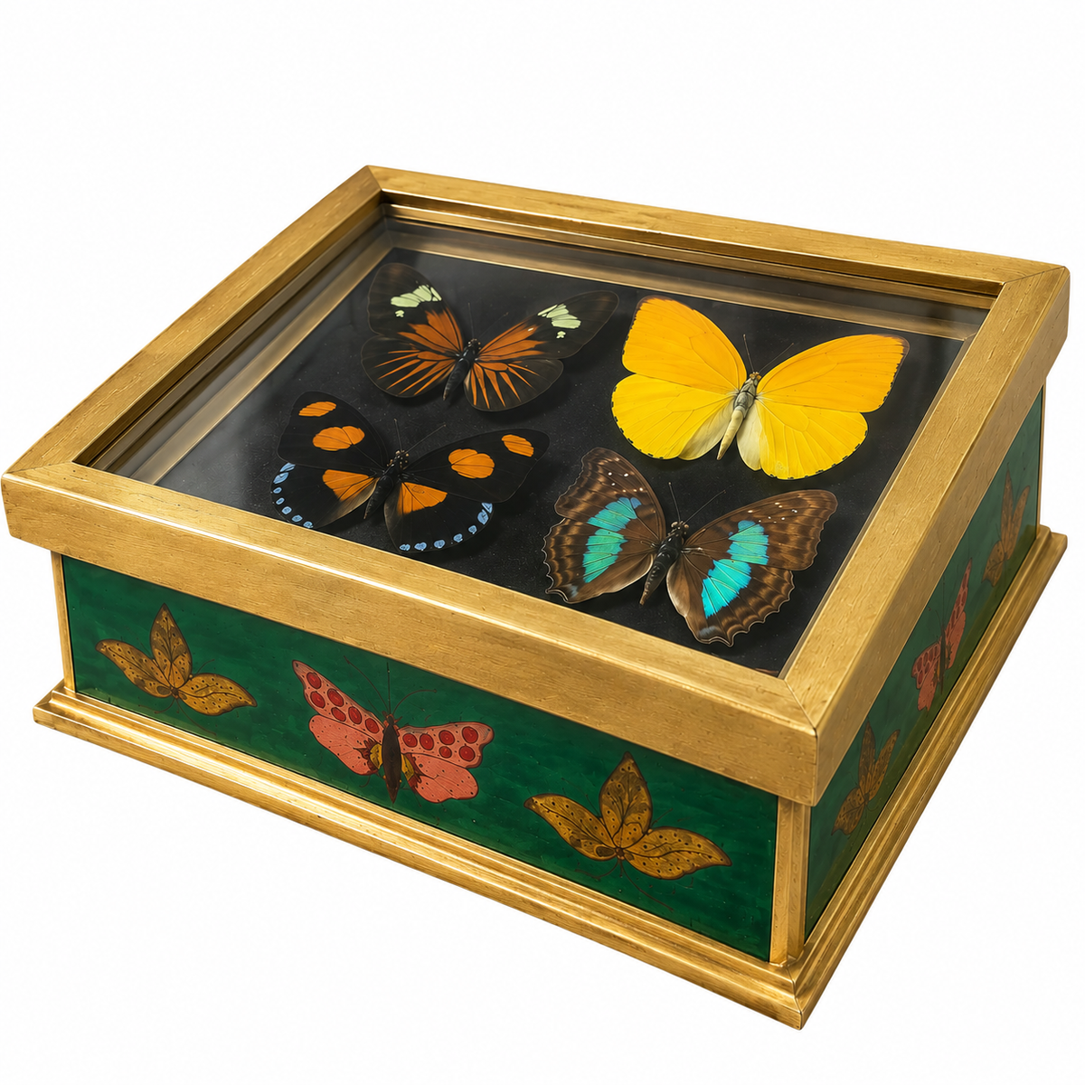 Antique Butterfly Box