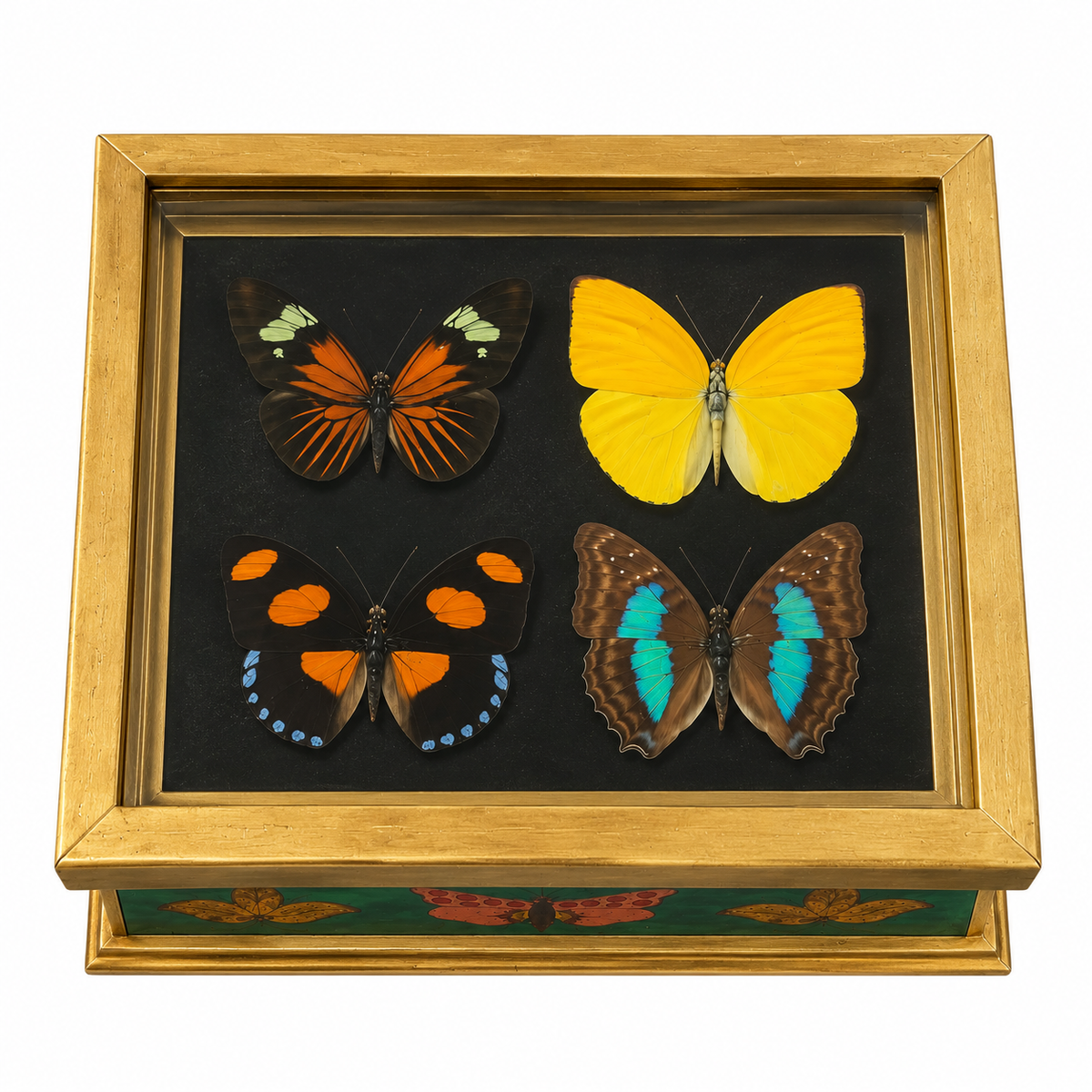 Antique Butterfly Box