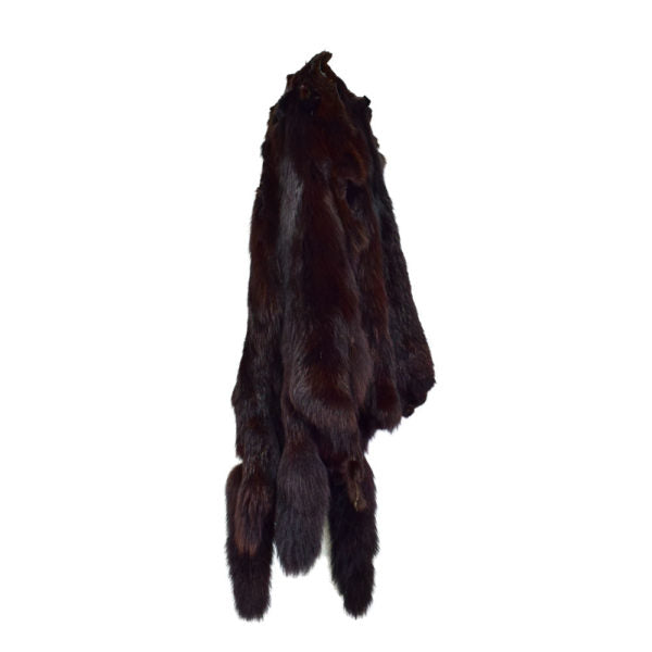 Black Fox Fur