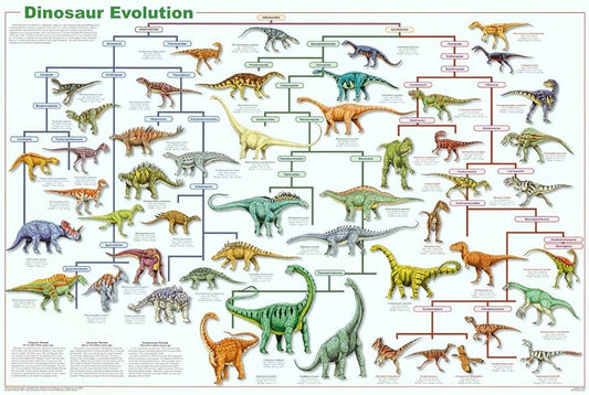 Dinosaur Evolution