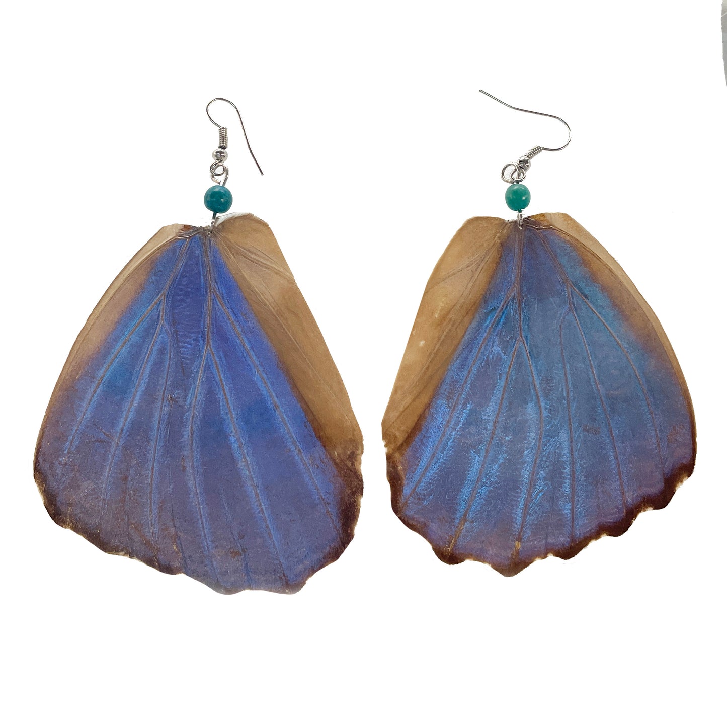 Hybrid Blue Morpho Earrings