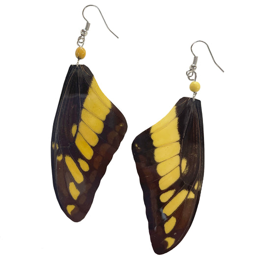 Swallowtail Butterfly Wing Earrings