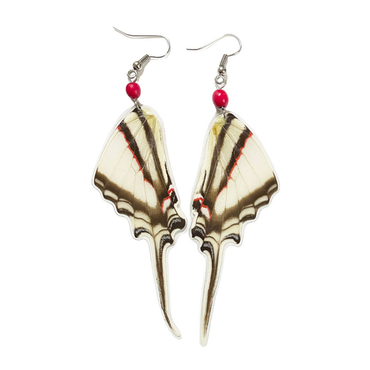 Kite Swallowtail Butterfly Wing Earrings