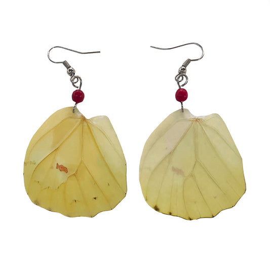 Angled Sulphur Butterfly Wing Earrings