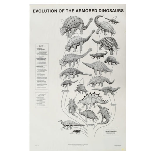 Evolution of Armored Dinosaur Poster