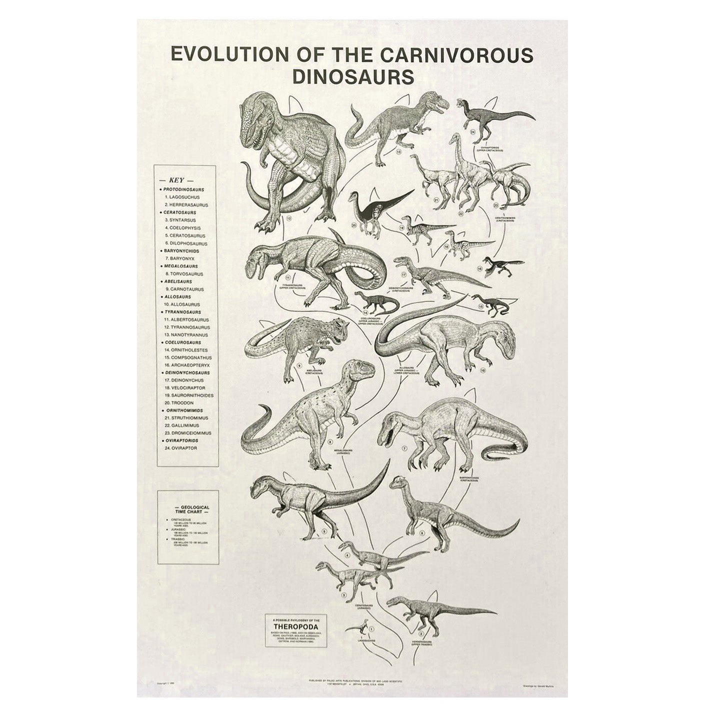 Evolution of the Carnivorous Dinosaurs Poster