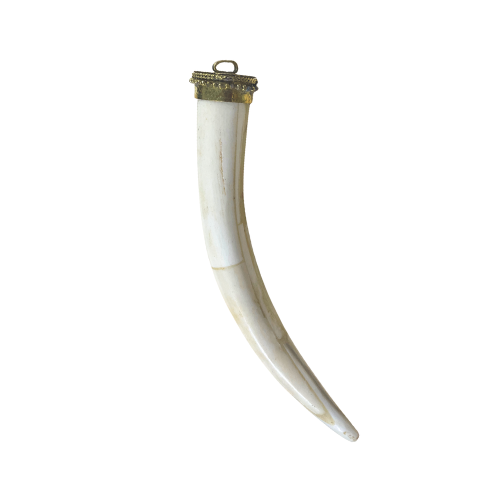Buffalo Bone Tooth with Ornate Brass Cap